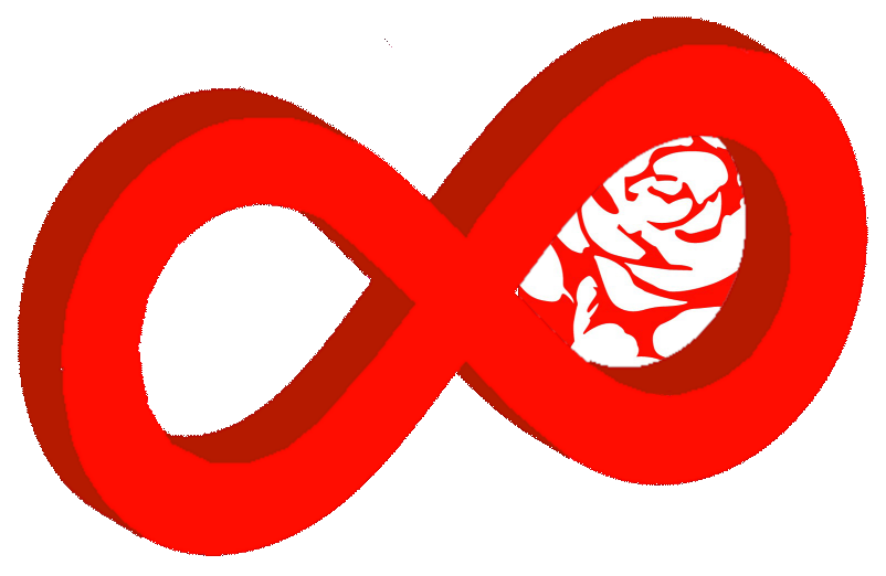 infinity rose