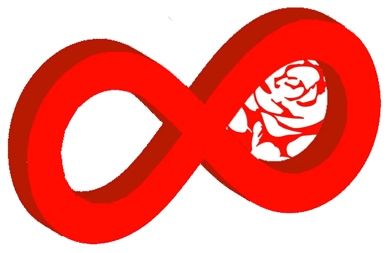 infinity rose